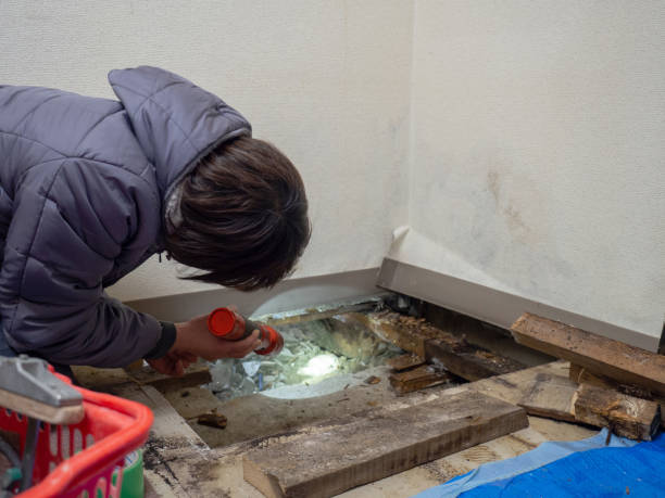 Best Dehumidification Services  in Berlin, NH