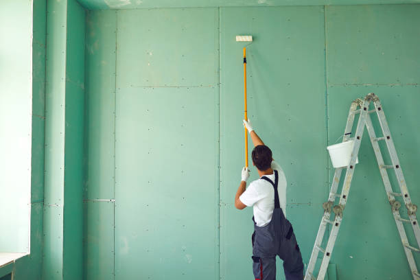 Mold Documentation for Insurance Claims in Berlin, NH