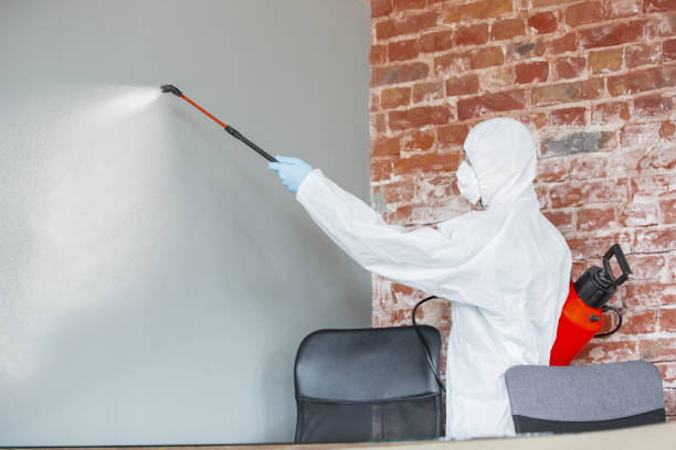 Best Forensic Mold Investigation  in Berlin, NH