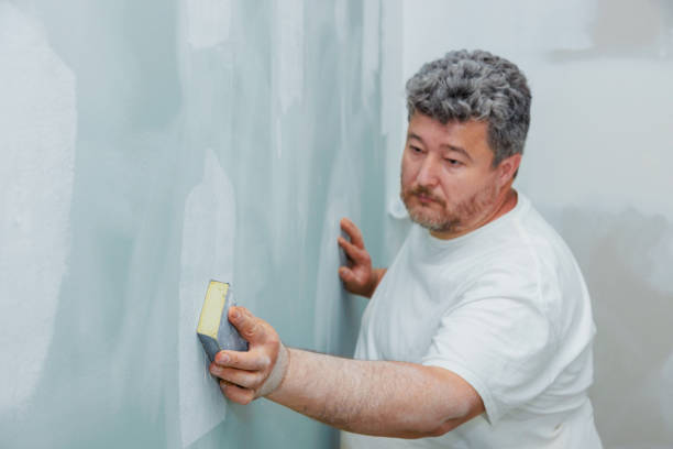 Best Basement Mold Removal  in Berlin, NH