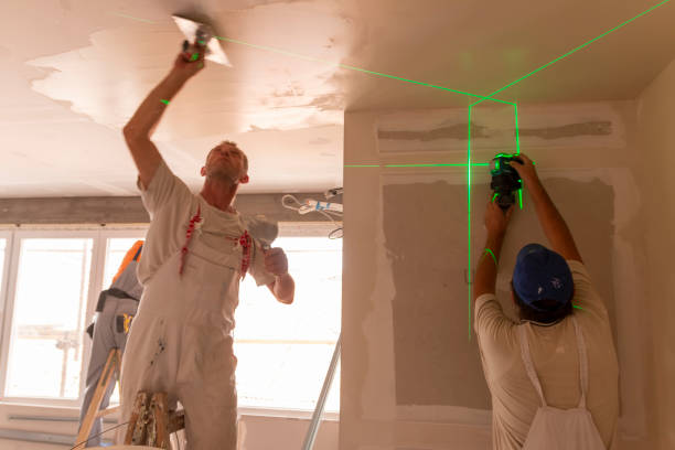 Best Mold Damage Restoration  in Berlin, NH