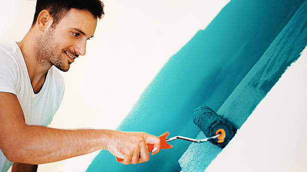 Best Mold Documentation for Insurance Claims  in Berlin, NH